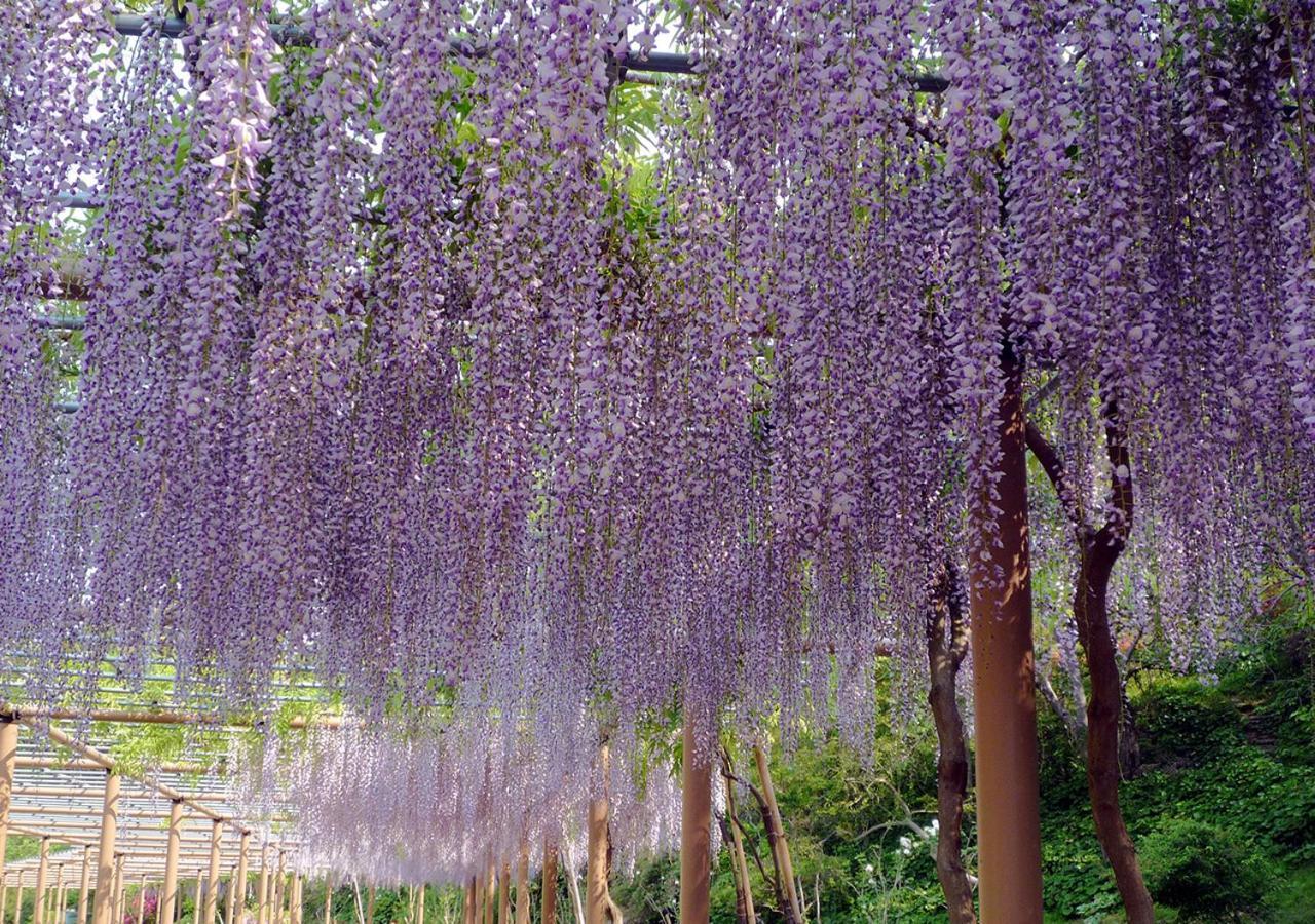 Hotel Wellseason Hamanako Hamamatsu Bagian luar foto